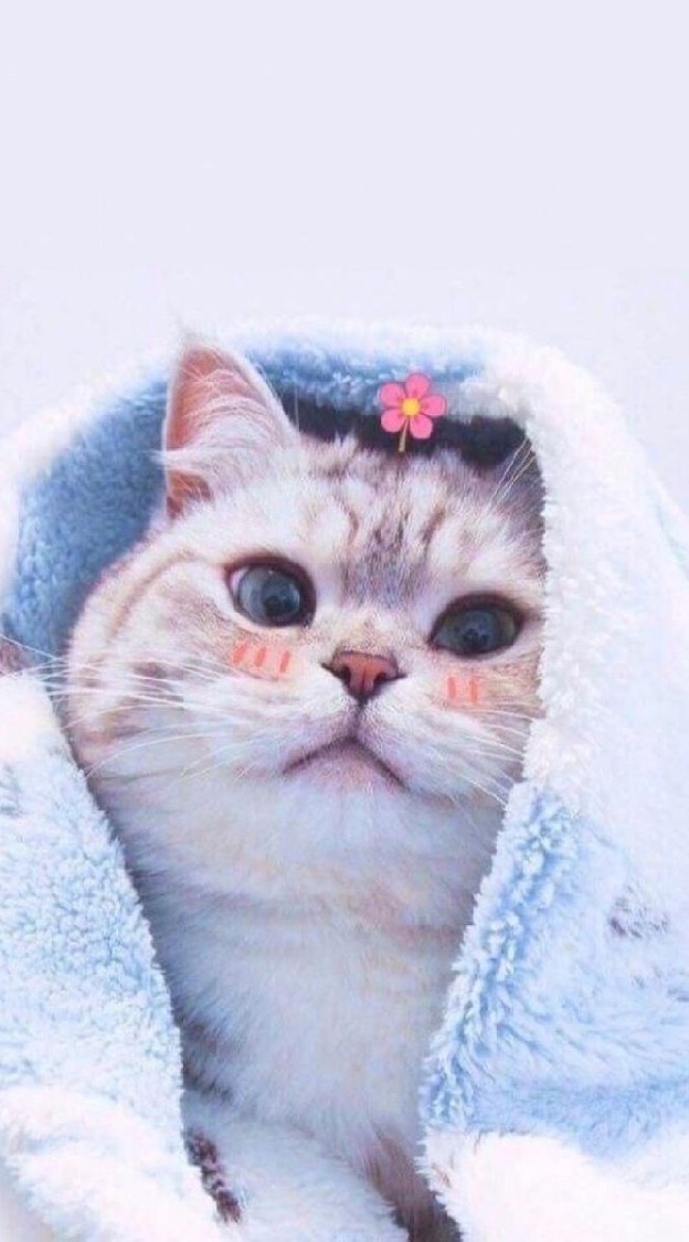 บอทเด็ก(ไม่จำกัดเพศ)​