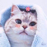 บอทเด็ก(ไม่จำกัดเพศ)​