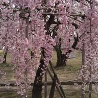 ☆バセドウ病患者交流会