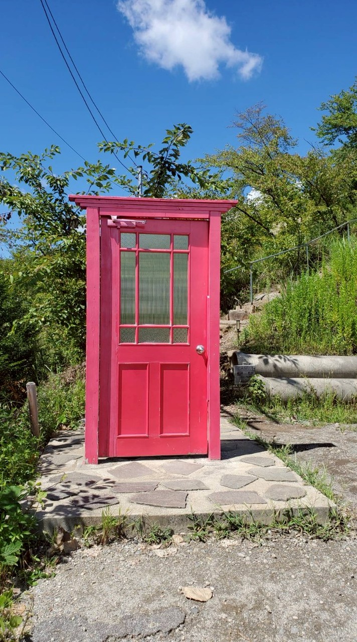 わんちゃん🐶にゃんちゃん🐱メダカさん🐠動物大好き！　雑談も良いよ😊