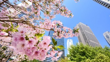 錯過等一年 | 日本櫻花季邀您共赴一場春天的花の限定