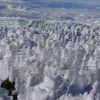 寂しいのかも。。