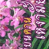 เพื่อนเสว ม.1