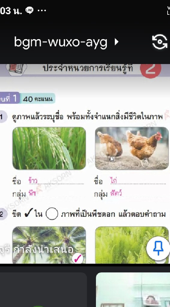 นักเรียนห้องป.4/1จอมซน