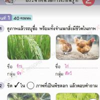 นักเรียนห้องป.4/1จอมซน