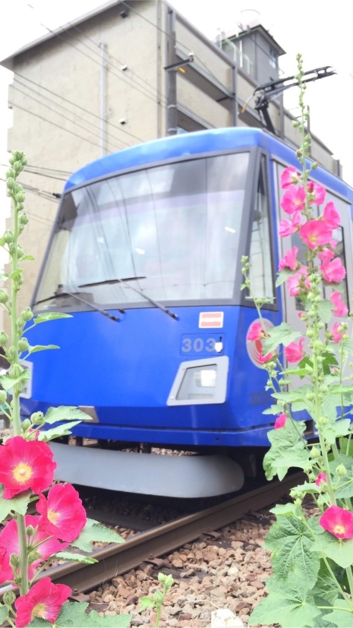 🌸世田谷園芸クラブ🌸