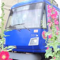 🌸世田谷園芸クラブ🌸