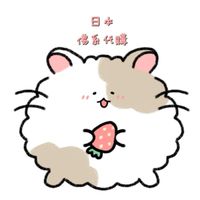 5/9～14日本親飛佛系連線代購