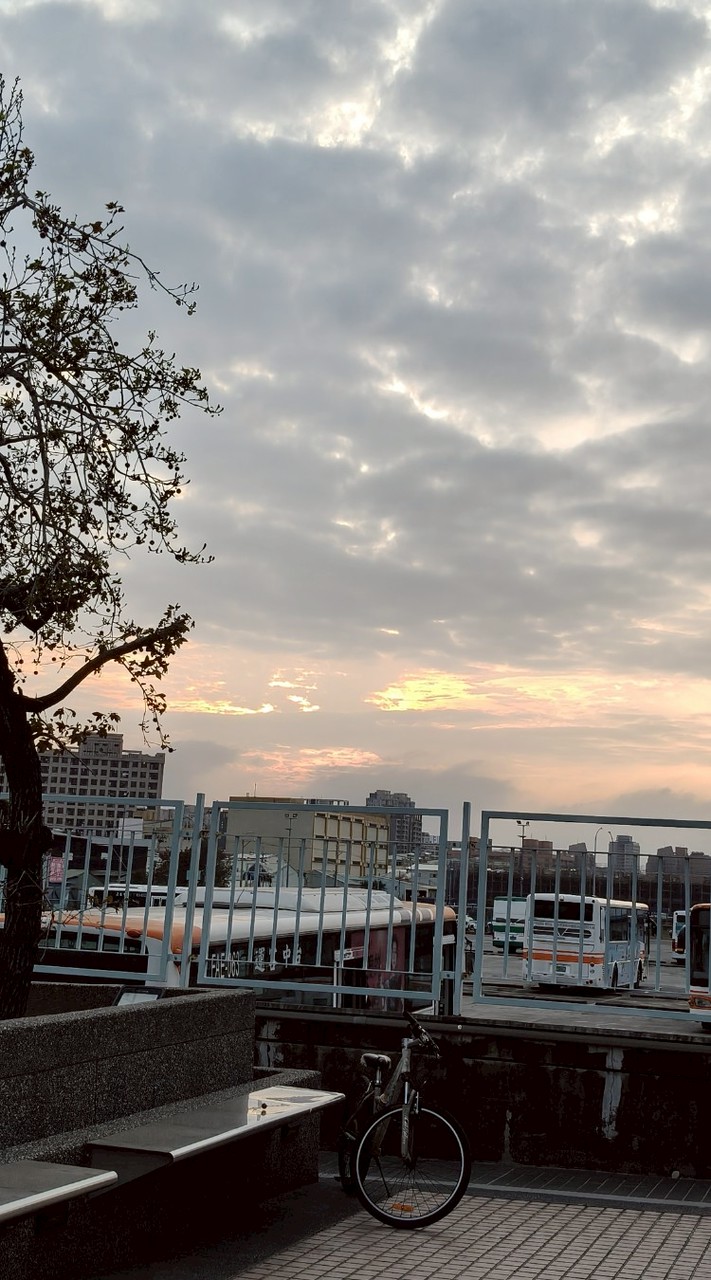 𝓛𝔀.冷 雾 樱 心ᝰ