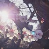 🍀🍀🍀おはなし会🍀🍀🍀レスで子なし🌱
