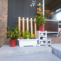 年終出清均20元自取