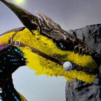 Ark 198アイランド