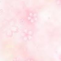 新信長の野望sakura