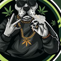 DOPE DEALER