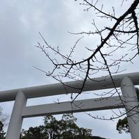 ⛩神奈川 50、60代 女性 御朱印部屋📕
