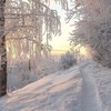 📺 ˖ ࣪⊹ 麵紓小誌 ˖ ࣪⊹