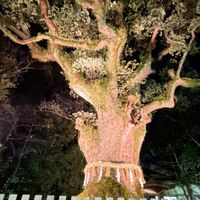 岐阜オークション会場