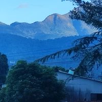 桃園市不動產仲介公會店東長社群
