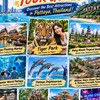 Pattaya Commission Guide