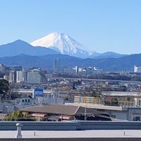 #てんちゃんねる