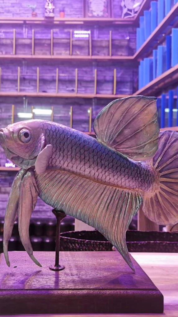 สนใจปลากัด มาทางนี้ - Betta- Fighting Fish