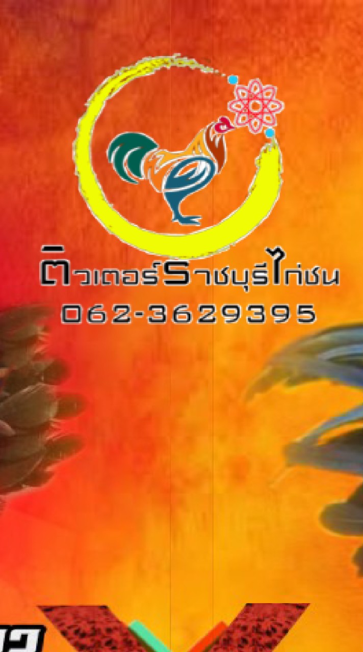 ติวเตอร์ราชบุรีไก่ชน📢TikTok Live