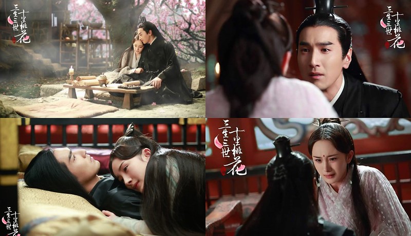 三生三世十里桃花