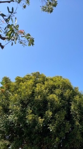 【平和主義】みんなボイメで歌お！