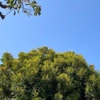 【平和主義】みんなボイメで歌お！