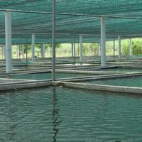 MaoAqua蝦搞_水族交流