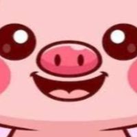 🐷Happy pick🐷
