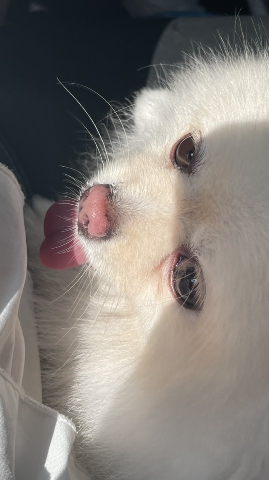聊天💬
