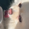 聊天💬