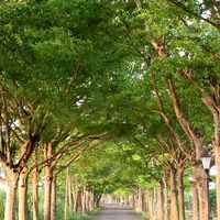 宜蘭之心 大地春舞-四十甲溼地活動