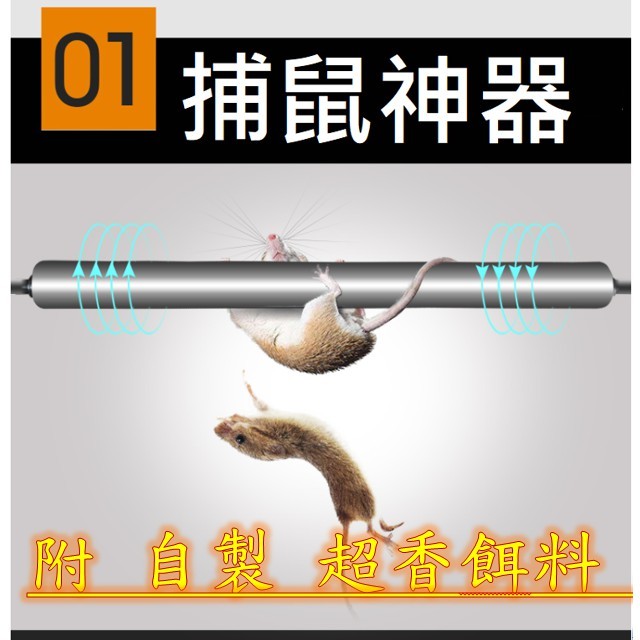 必看鼠鼠攻略 老鼠非常聰明，對捕鼠神器有