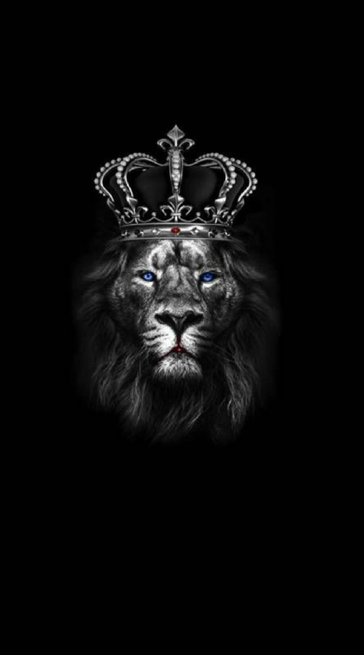 ♠️ Black Lion♟️