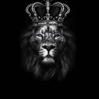♠️ Black Lion♟️