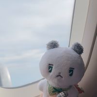 日本🇯🇵大阪神戶鳥取東京代購11/3-11