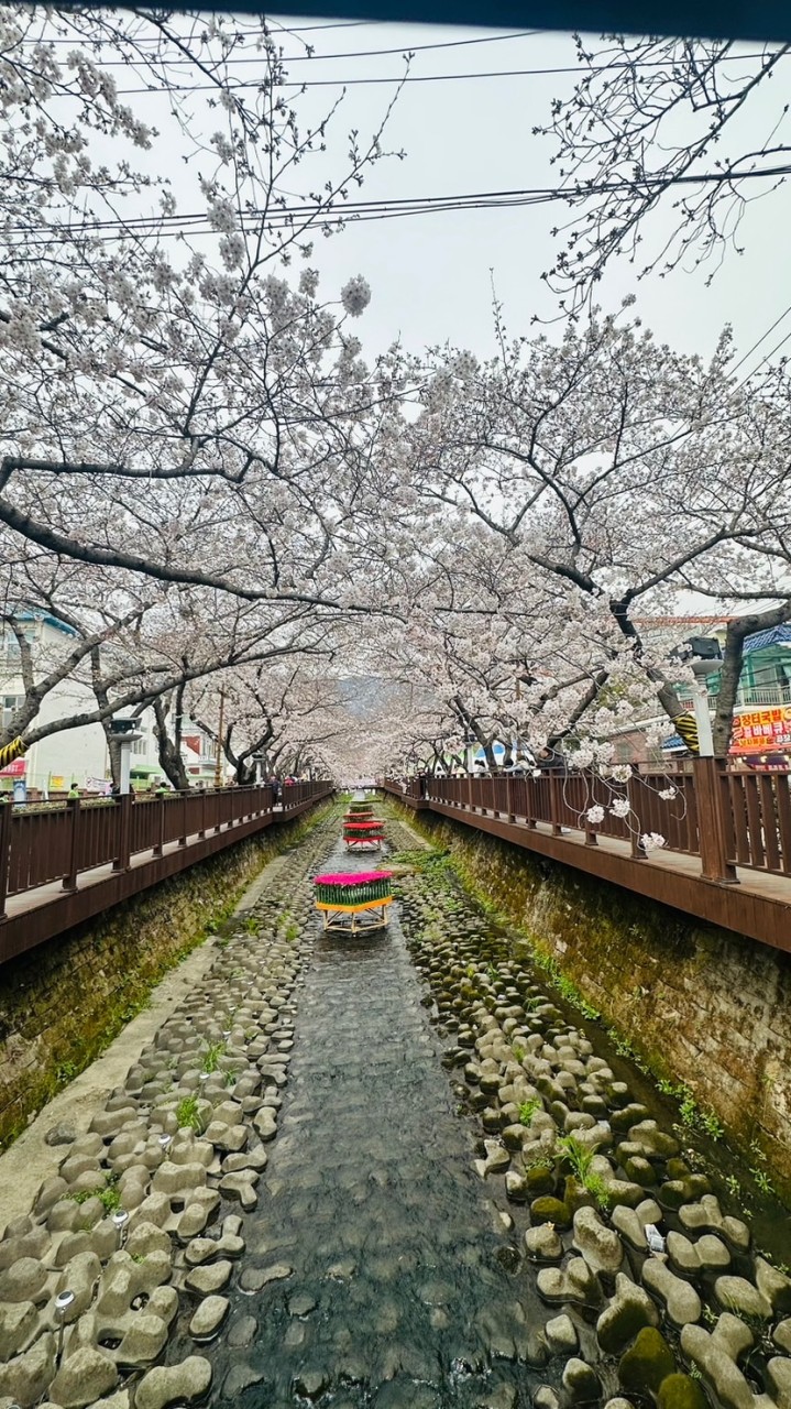 宛兒～6/1-6/5韓國🇰🇷釜山小小連線代購
