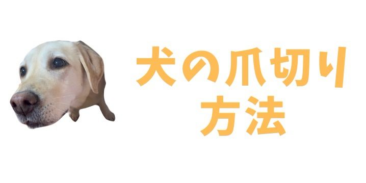 犬の爪切り方法 セントラル動物病院 Line Official Account