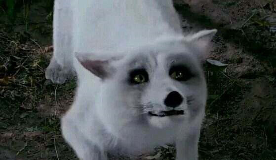 特效被群嘲的古裝劇8：楊冪、陳偉霆《古劍奇譚》