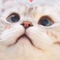 稅務會計帳務交流圈