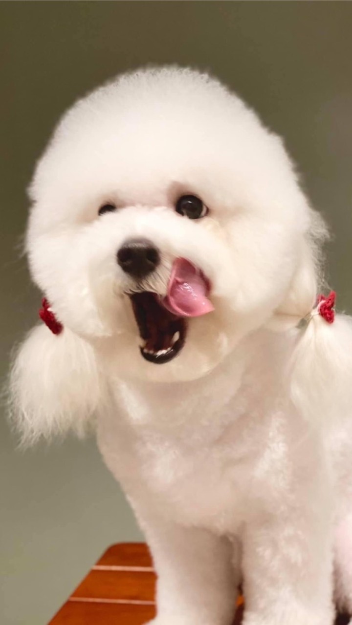 茜的小賣舖¥什麼都賣不奇怪¥