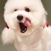 茜的小賣舖¥什麼都賣不奇怪¥