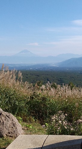 山歩、散策、山登り、野山を愛でる