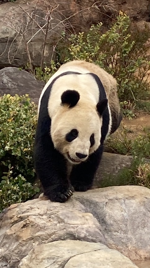 フォトナ勢大集合