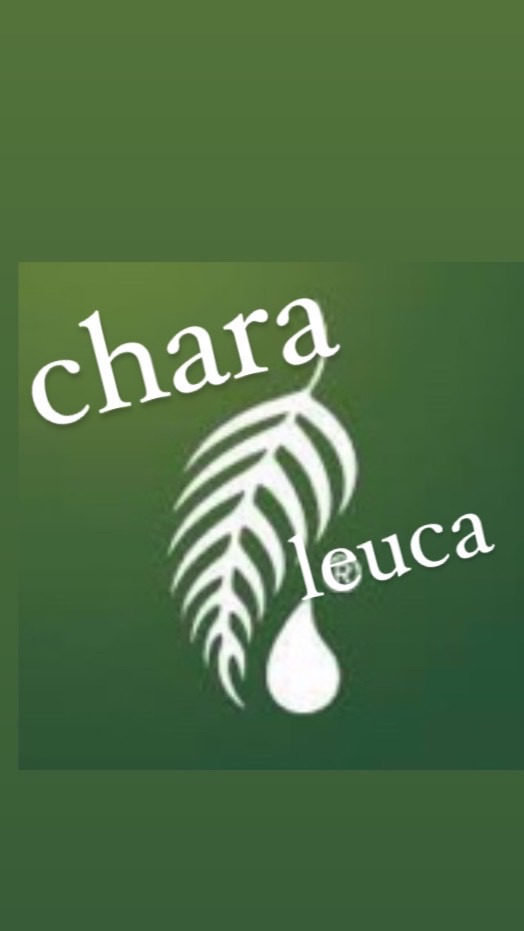 チャラルーカパラダイス