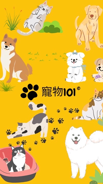 寵物101-台北市青創基地寵物跨界合作社群