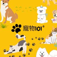 寵物101-台北市青創基地寵物跨界合作社群