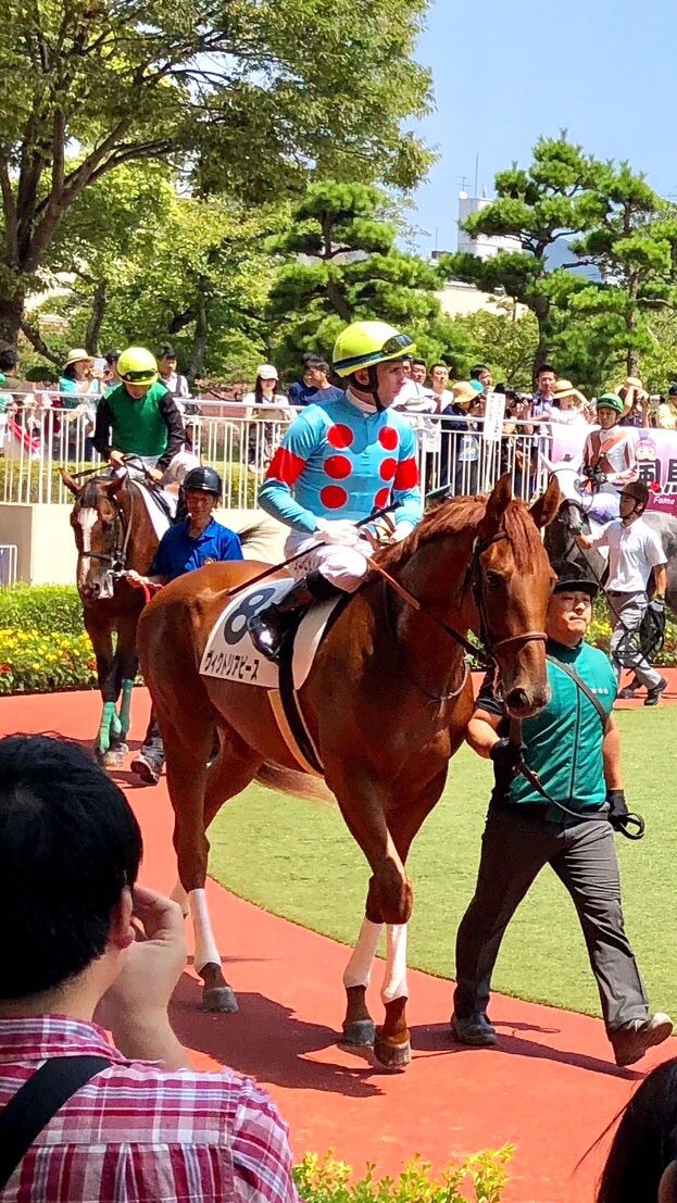 競馬予想グループのオープンチャット